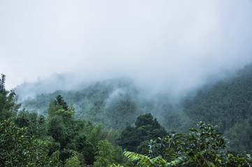 指定教程“功夫川麻如何才赢”附开挂脚本详细教程