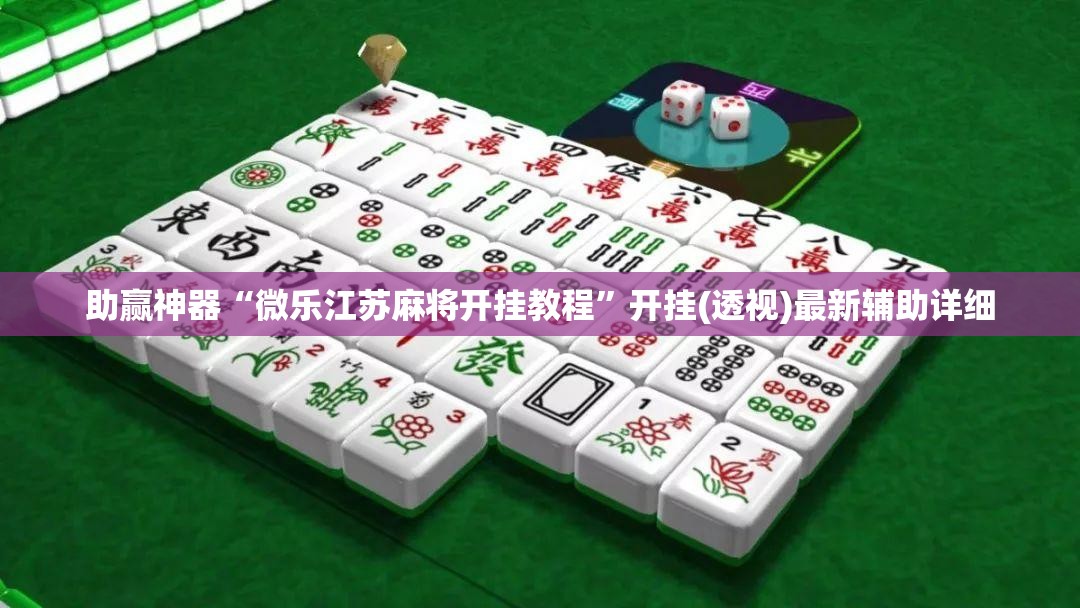 助赢神器“微乐江苏麻将开挂教程”开挂(透视)最新辅助详细