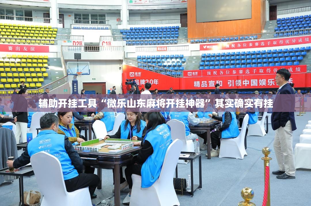 辅助开挂工具“微乐山东麻将开挂神器”其实确实有挂