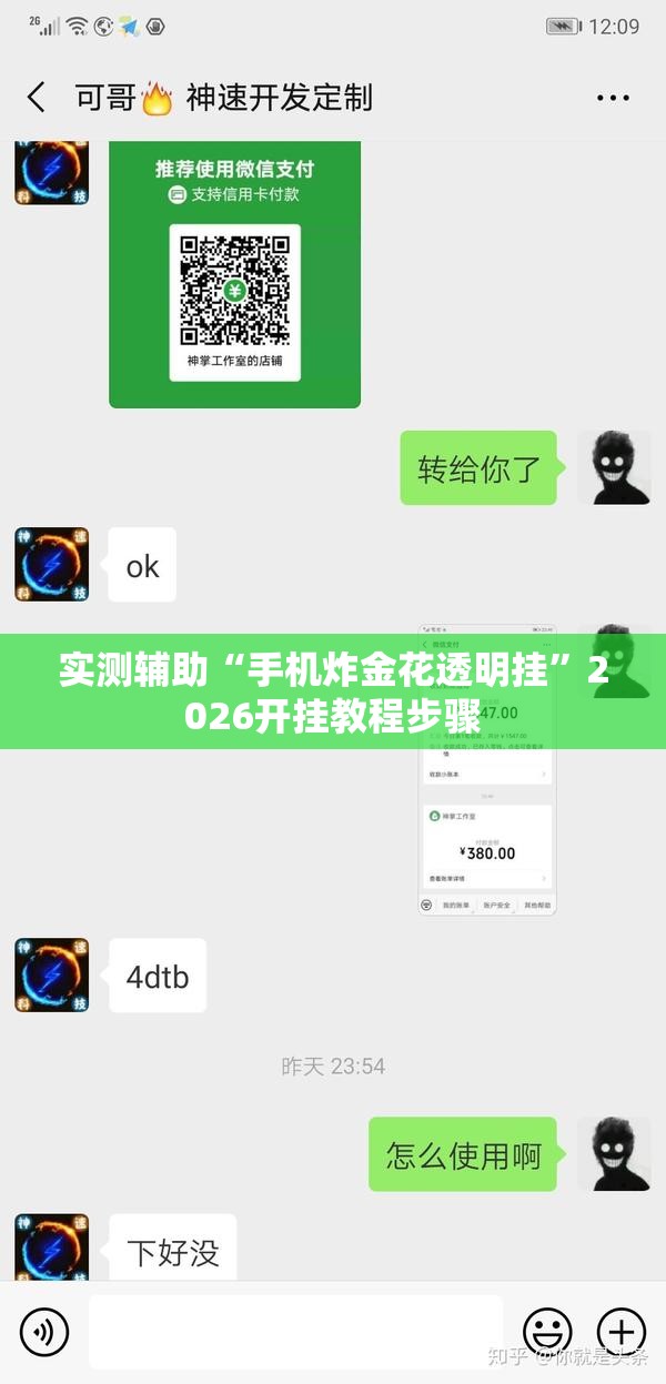 实测辅助“手机炸金花透明挂”2026开挂教程步骤
