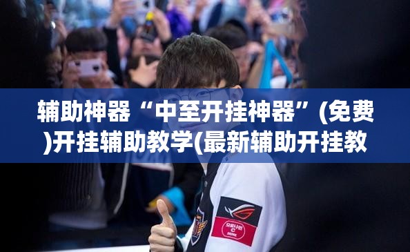 辅助神器“中至开挂神器”(免费)开挂辅助教学(最新辅助开挂教程)