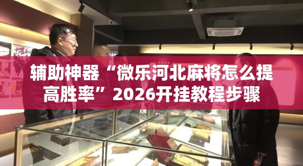 辅助神器“微乐河北麻将怎么提高胜率”2026开挂教程步骤