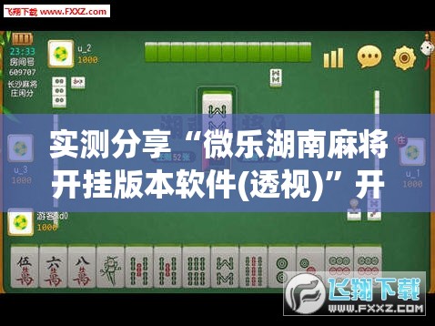 实测分享“微乐湖南麻将开挂版本软件(透视)”开挂辅助脚本+详细开挂安装教程