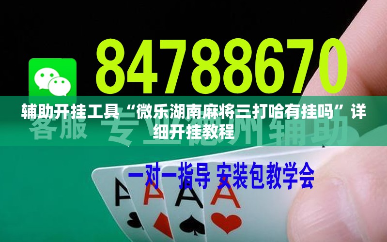 辅助开挂工具“微乐湖南麻将三打哈有挂吗	”详细开挂教程