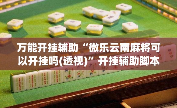 万能开挂辅助“微乐云南麻将可以开挂吗(透视)”开挂辅助脚本+详细开挂安装教程