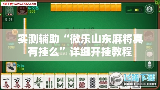 实测辅助“微乐山东麻将真有挂么”详细开挂教程
