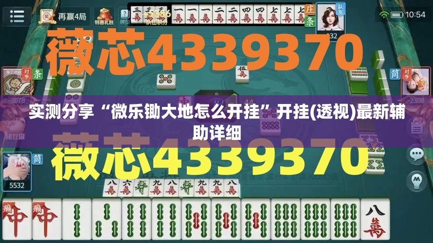 实测分享“微乐锄大地怎么开挂”开挂(透视)最新辅助详细