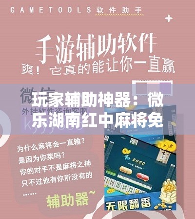 玩家辅助神器：微乐湖南红中麻将免费开挂”开挂详细教程