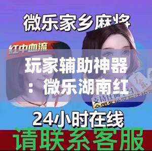 玩家辅助神器：微乐湖南红中麻将免费开挂	”开挂详细教程