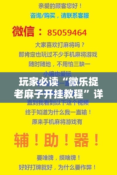 玩家必读“微乐捉老麻子开挂教程”详细分享装挂步骤