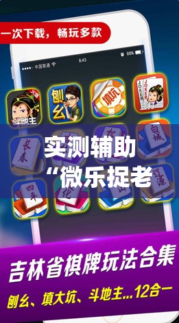 实测辅助“微乐捉老麻子开挂神器”开挂(透视)辅助神器