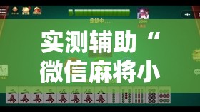 实测辅助“微信麻将小程序万能开挂器”详细外挂透视辅助软件教程