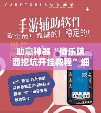 助赢神器“微乐陕西挖坑开挂教程”细辅助教程分享