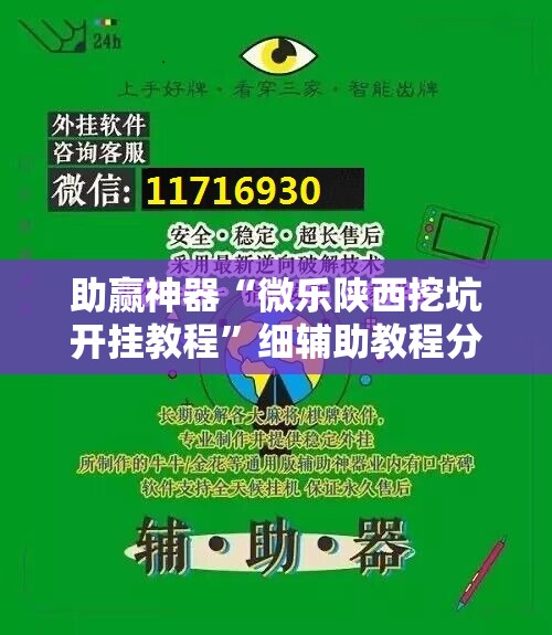助赢神器“微乐陕西挖坑开挂教程”细辅助教程分享
