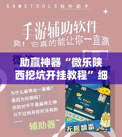 助赢神器“微乐陕西挖坑开挂教程”细辅助教程分享