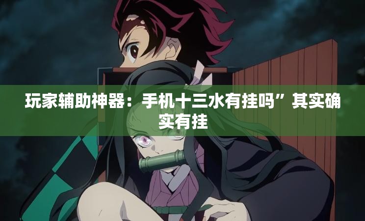 玩家辅助神器：手机十三水有挂吗	”其实确实有挂