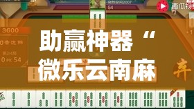 助赢神器“微乐云南麻将怎样免费开挂”详细开挂教程