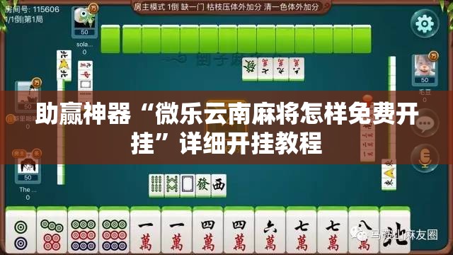 助赢神器“微乐云南麻将怎样免费开挂”详细开挂教程