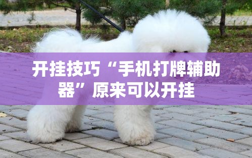 开挂技巧“手机打牌辅助器	”原来可以开挂