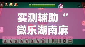 实测辅助“微乐湖南麻将三打哈有挂吗”详细外挂透视辅助软件教程