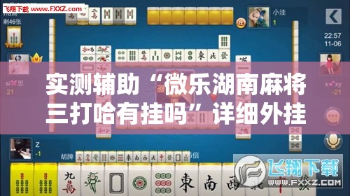 实测辅助“微乐湖南麻将三打哈有挂吗	”详细外挂透视辅助软件教程
