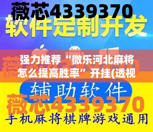 强力推荐“微乐河北麻将怎么提高胜率”开挂(透视)辅助教程