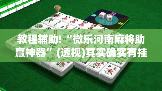 教程辅助!“微乐河南麻将助赢神器”(透视)其实确实有挂