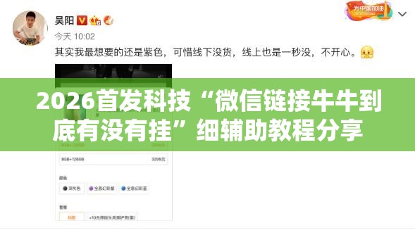 2026首发科技“微信链接牛牛到底有没有挂”细辅助教程分享