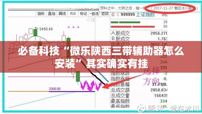必备科技“微乐陕西三带辅助器怎么安装”其实确实有挂
