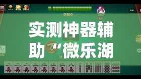 实测神器辅助“微乐湖南麻将三打哈有没有开挂神器”详细开挂教程