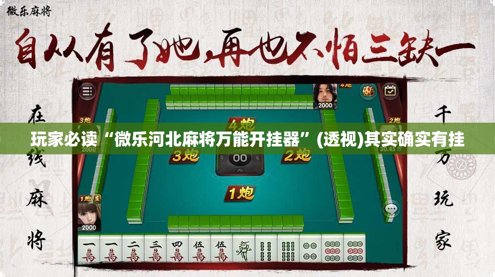 玩家必读“微乐河北麻将万能开挂器”(透视)其实确实有挂
