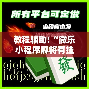 教程辅助!“微乐小程序麻将有挂不”详细分享装挂步骤