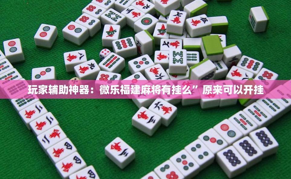 玩家辅助神器：微乐福建麻将有挂么”原来可以开挂