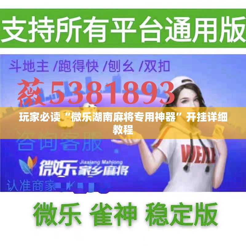 玩家必读“微乐湖南麻将专用神器”开挂详细教程