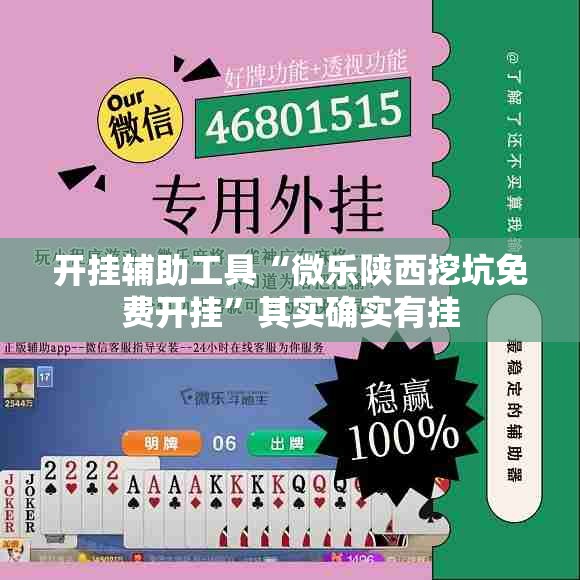 开挂辅助工具“微乐陕西挖坑免费开挂”其实确实有挂