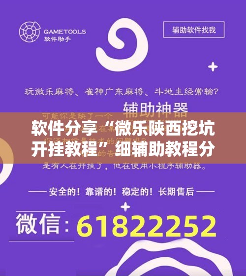 软件分享“微乐陕西挖坑开挂教程”细辅助教程分享
