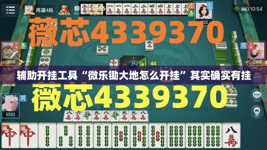 辅助开挂工具“微乐锄大地怎么开挂”其实确实有挂