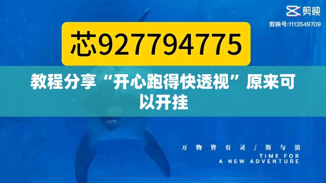 教程分享“开心跑得快透视	”原来可以开挂