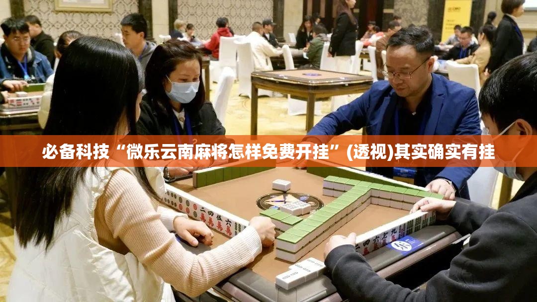 必备科技“微乐云南麻将怎样免费开挂”(透视)其实确实有挂