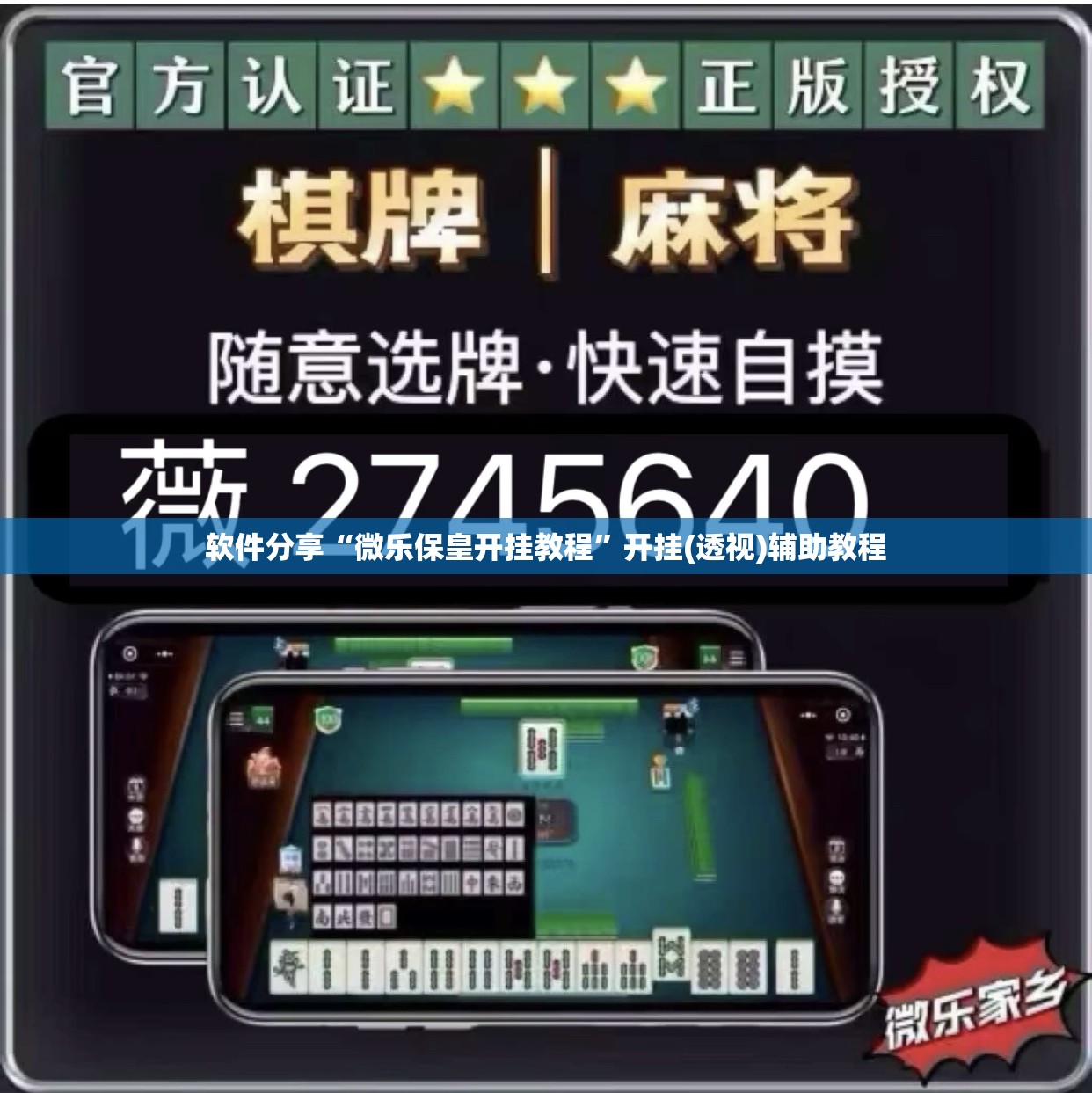 软件分享“微乐保皇开挂教程	”开挂(透视)辅助教程