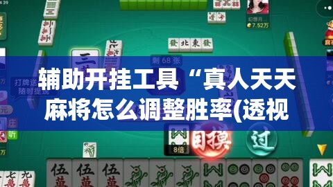 辅助开挂工具“真人天天麻将怎么调整胜率(透视)	”开挂辅助脚本+详细开挂安装教程