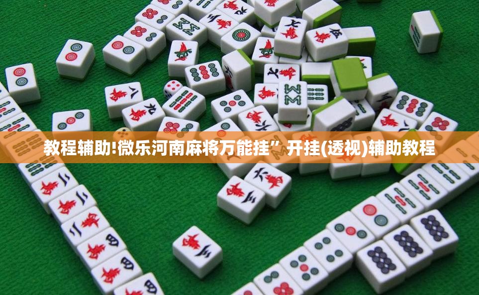 教程辅助!微乐河南麻将万能挂”开挂(透视)辅助教程