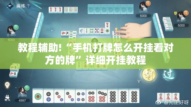 教程辅助!“手机打牌怎么开挂看对方的牌”详细开挂教程