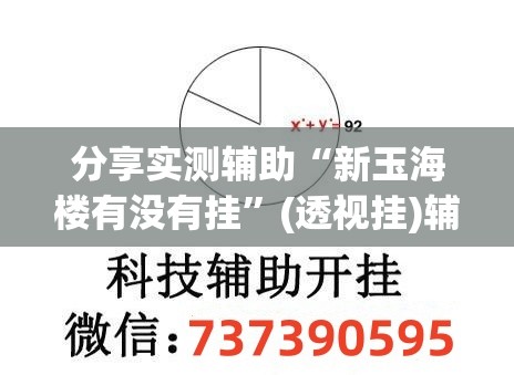 分享实测辅助“新玉海楼有没有挂”(透视挂)辅助下载教程
