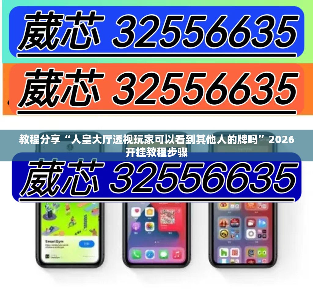 教程分享“人皇大厅透视玩家可以看到其他人的牌吗”2026开挂教程步骤