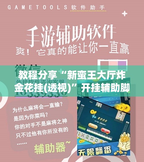 教程分享“新蛮王大厅炸金花挂(透视)”开挂辅助脚本+详细开挂安装教程