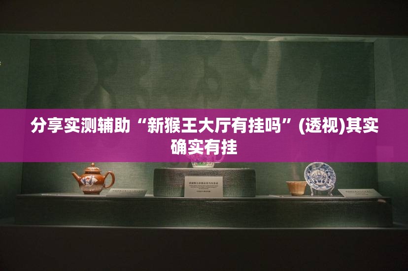分享实测辅助“新猴王大厅有挂吗”(透视)其实确实有挂