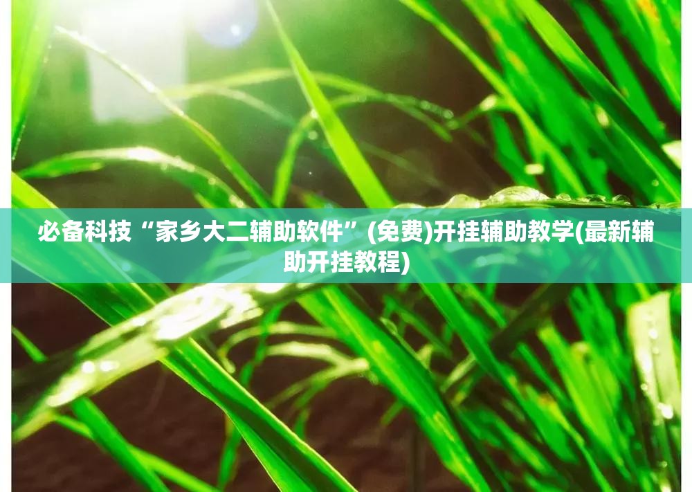 必备科技“家乡大二辅助软件	”(免费)开挂辅助教学(最新辅助开挂教程)