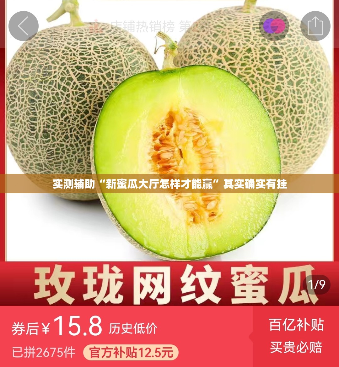 实测辅助“新蜜瓜大厅怎样才能赢”其实确实有挂