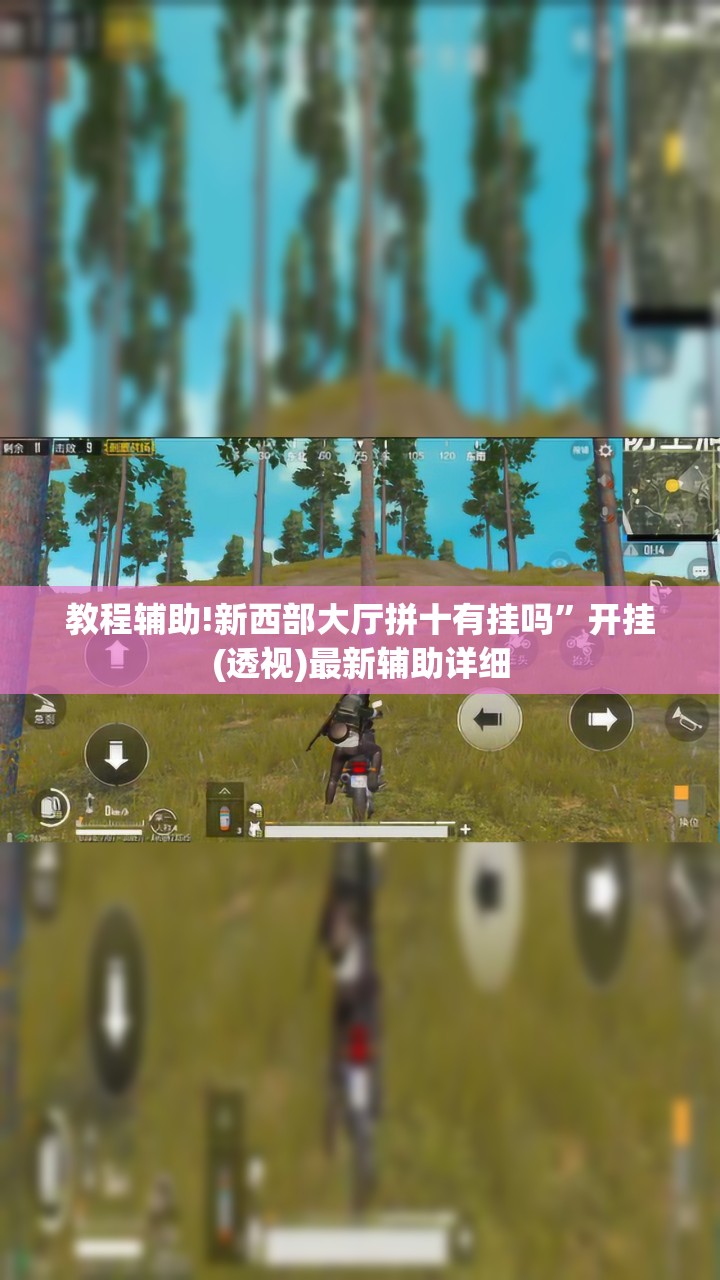 教程辅助!新西部大厅拼十有挂吗”开挂(透视)最新辅助详细